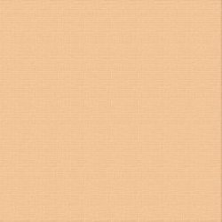 Text. Cardstock - Cantaloupe 12X12 216GSM 10 Sheets
