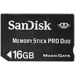Sandisk 16 Gb Memory Stick Pro Duo Flash Memory Card - Bulk Package