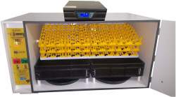 Surehatch 560 Egg Electricity Battery Powered Digital Egg Incubator - SH560DP