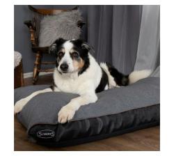 Dog Bed - - Hilton Orthopedic Mattress - XL Grey