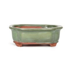 Assorted Glazed Bonsai Pots 7" - Green With Decorative Corners 17.5 X 13.5 X 6CM