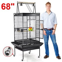 large bird cage parrot