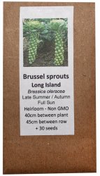 Heirloom Veg Seeds - Brussels Sprouts - Long Island