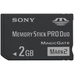 Sony 2 Gb Flash Memory Card MSMT2G TQ Black