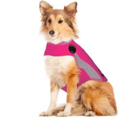 Polo Thundershirt Dog Anxiety Shirt - Pink Medium Waggs Pet Shop