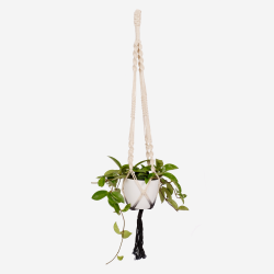 Macram Plant Hanger - Dual Dip
