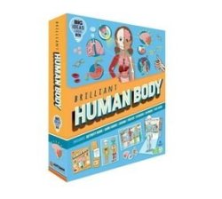 Brilliant Human Body Paperback