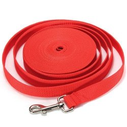 recall leash for dogs