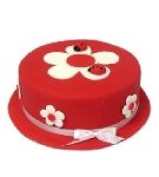Ladybird Cake 15CM Cake Hamper