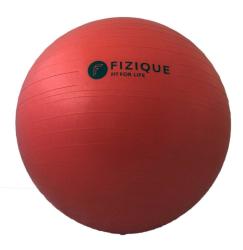 Fizique Antiburst Stability Ball - 55cm