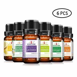 Leegoal Beauty Essential Oils Pure Natural Organic Aromatherapy Set 6 Pack Improve Skin Quality Massage To Relieve Muscle Fatigue Aroma Of Lavender Camellia Rosemary Lemon