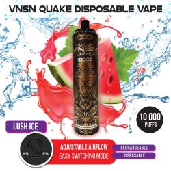 VNSN Quake 10000 Lush Ice Vape