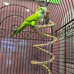 Nnda Co Pet Parrot Chew Rope Budgie Bell Bird Perch Coil Swing Cockatiel Cage Hang Toys 2M