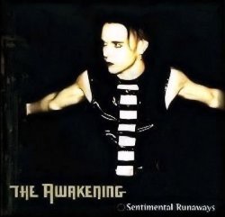 The Awakening Sentimental Runaways Ep South African Pressing Gothic Darkwave