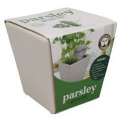 Paris Garden Galvanised Pot Parsley Herb Grow Kit