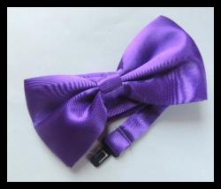 Purple Bowtie