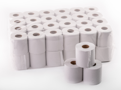 Toilet Paper Recycled 1 Ply 500 Sheets Pack Of 48
