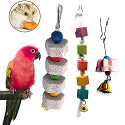 Moyag Parrot Chewing Toy Bird Beak Grinding Stone For African Greys Conure Cockatoo Eclectus Budgies Parakeet Cockatiel Hamster Chinchilla Rabbit Mouse Squirrel Gerbil 3 Packs Reviews Online Pricecheck