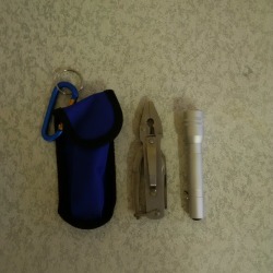Micro Plier Multitool With Pouch & Mini Torch