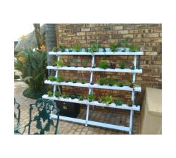 Hydroponic Home System 2