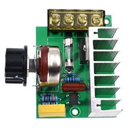 Lychee 4000W 220V Ac Scr Voltage Regulator Dimmer Electric Motor Speed Controller Thermostat