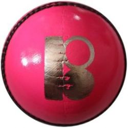Blaster Silver Cricket Ball Pink 135G
