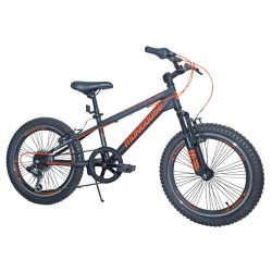 Trax 20 inch discount bike