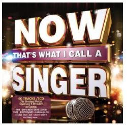 Various Artists - Now That's What I Call A Singer Cd