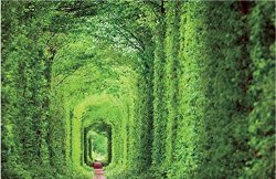 Puzzlelife Tunnel Of Love 1000 Piece Jigsaw Puzzle
