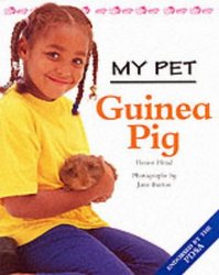 Guinea Pig My Pet