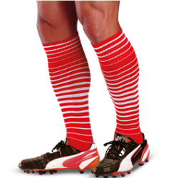 Brt Action Socks - New - 8 Colours - Barron - Sizes 6 - 12