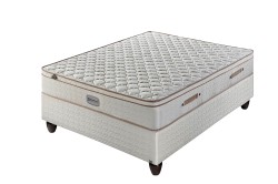 Sealy Posturepedic Queen Sealy Avignon Firm Extra-length Mattress-only
