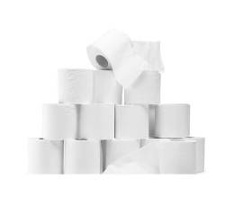 Toilet Rolls 1PLY - 24PK