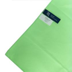 Zipsoft Microfiber Quick Drying Sports Towel - Green With Opp 90X180CM Russian Federation