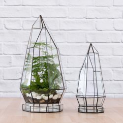 Terrarium - Cathedral - Small Excl. Plants