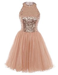 Homecoming Dress Cocktail Dresses Short Sequin Halter Open Back Evening Party Dress A Line Rose Gold US12