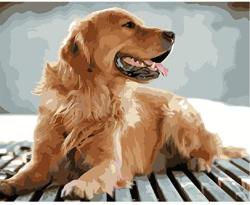 Classic Jigsaw Puzzle 1000 Pieces Adults Children Wooden Puzzle Diy Lookout Golden Retriever Animal Modern Home Decor Wall Art Intelligence Game Unique Gift