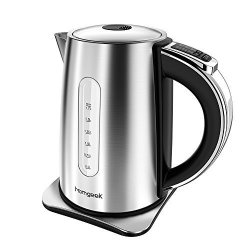 tea kettle with temperature control