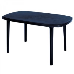 Ebony Oval 6-SEATER Table Black