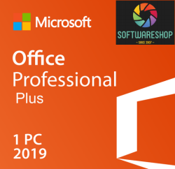 Microsoft Whole Price Office 2019 Professional Plus