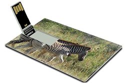 Luxlady 32GB USB Flash Drive 2.0 Memory Stick Credit Card Size Zebra Kruger National Park South Africa Image 27414932
