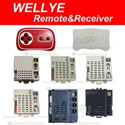 WELLYE RX43 12V Control Box Receiver Match 2.4G Bluetooth Remote Control,12V 
