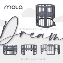 Mola Dream