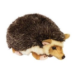 National Geographic Plush - Desert Hedgehog