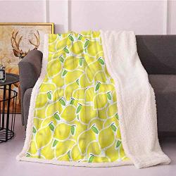 Miles Ralph Flannel Blanket Fleece Blankets Yellow Lemon Citrus Illustration Pet Blanket 60"X70