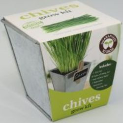 Paris Garden Galvanised Pot Chives Herb Grow Kit