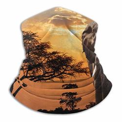 Sunset Over Acacia Tree And African Elephant Africa Safari Fleece Neck Warmer - Reversible Neck Gaiter Tube Versatility Ear Warmer Headband & Mask For