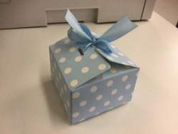 Polka Dot High Quality Gift Box Or Sweet Box 12PCS