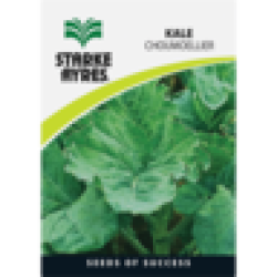 Kale Variety Vegetable Seeds