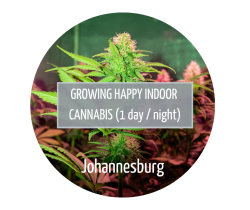 Growing Happy Indoor Cannabis - Johannesburg - 25 May 2024